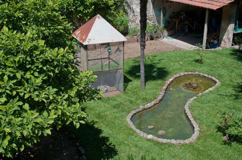 Borgo Largo 51 Bed & Breakfast Pisa Luaran gambar